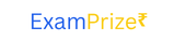 examprize.com